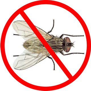 Ahuyentador de moscas para exterior: las mejores opciones
