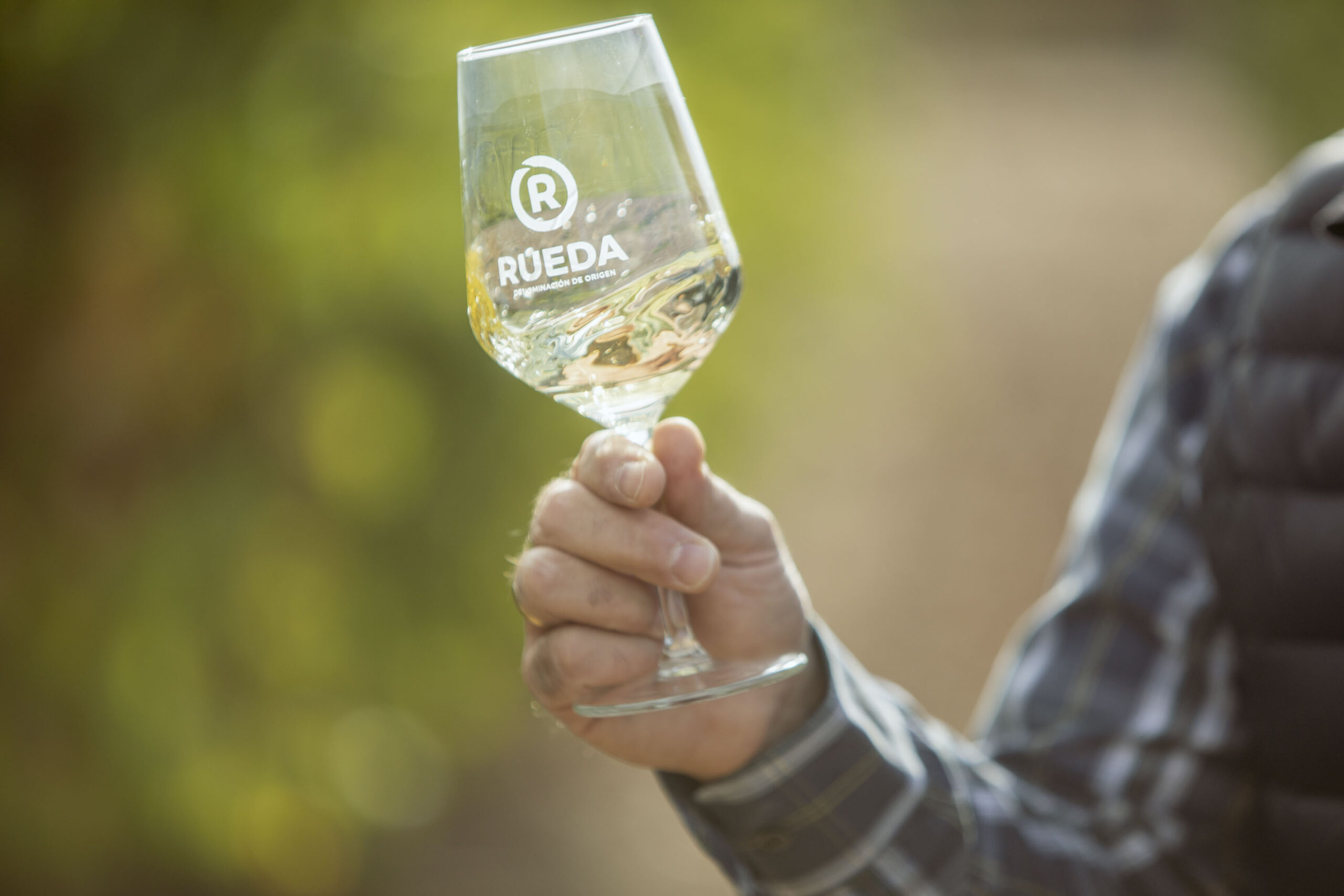 Vino Rueda: opiniones, precios, compra, selección, variedades…