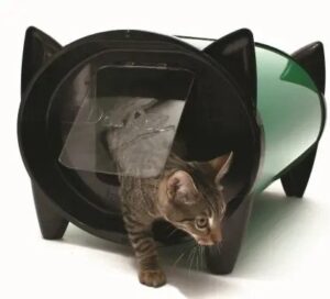 Casetas para gatos exterior: eligiendo las mejores