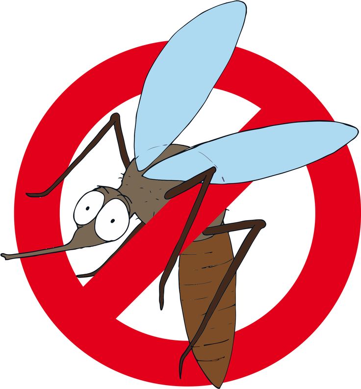 Repelente de mosquitos natural ¿Cuál elegir que sea eficaz?