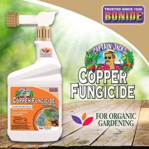 Fungicida cobre: el más rápido y eficaz