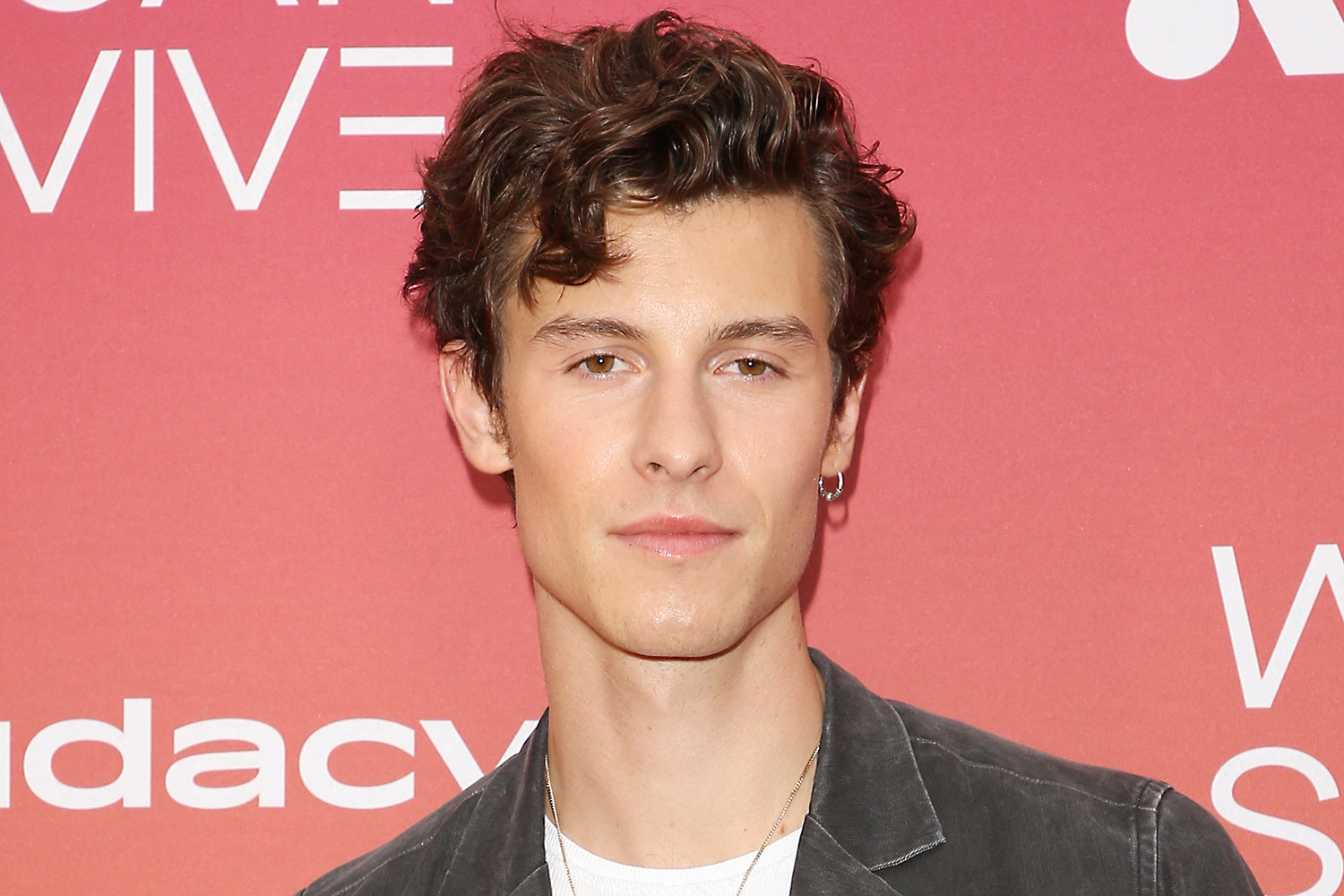 Shawn Mendes pospone su gira hasta nuevo aviso