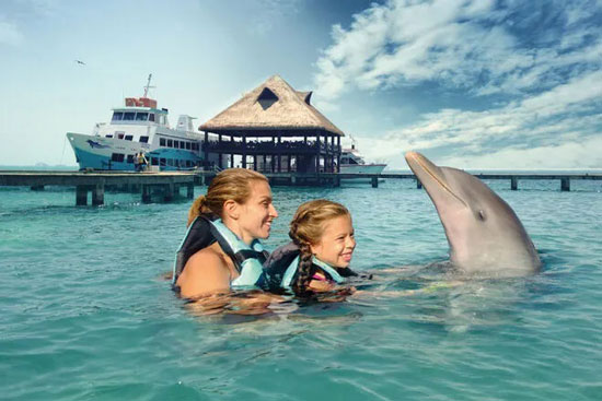 Nado con Delfines en Cancún e Isla Mujeres